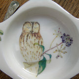 Tawny Owl Bone China Teabag Tidy