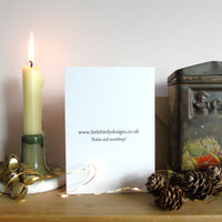 Robin and Snowdrops Christmas Card