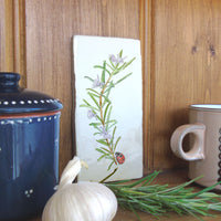 Rosemary and ladybird Wall Art