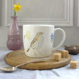 Songthrush and spring flowers Mug