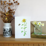 Sunflower and Bee card for Ukraine Appeal
