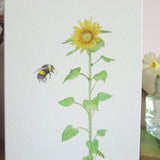 Sunflower and Bee card for Ukraine Appeal